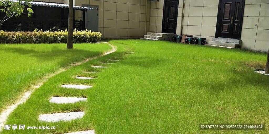 草坪上的石板小径