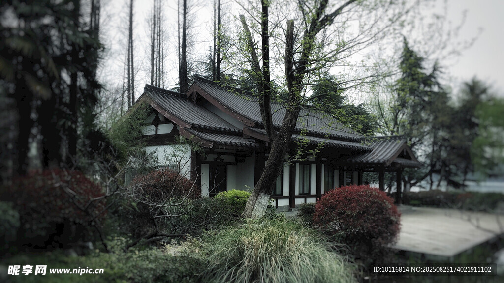 中式庭院