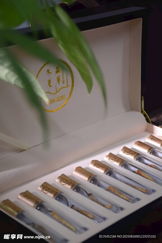冬虫夏草礼盒