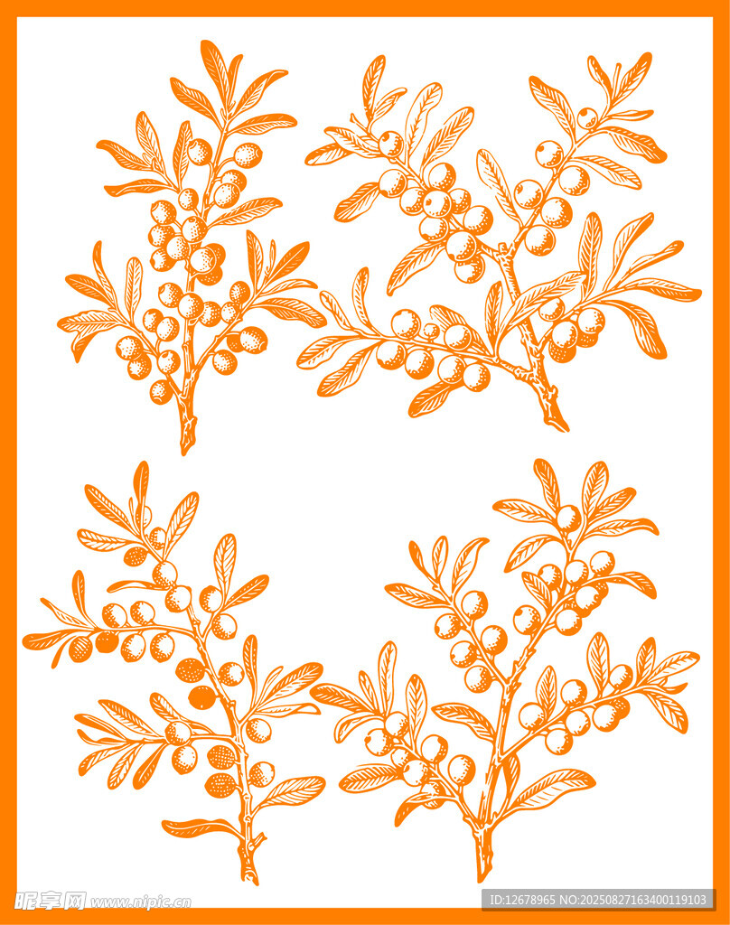 橙色沙棘矢量图案设计
