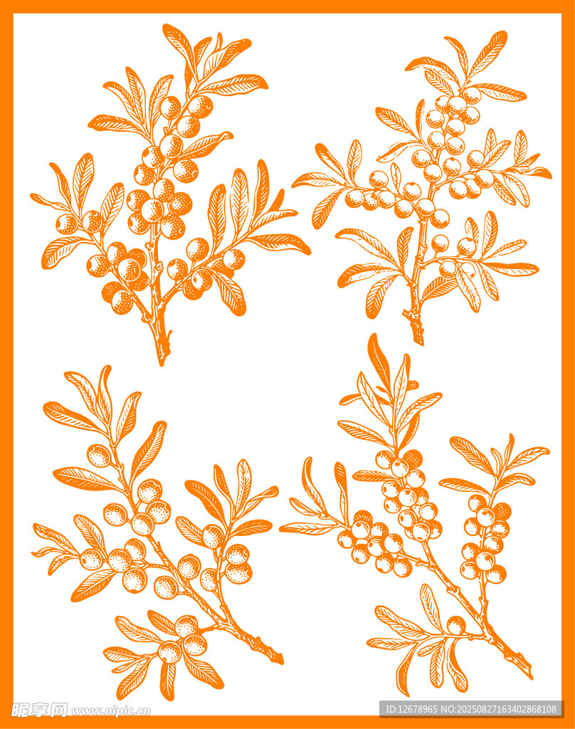 橙色沙棘矢量图案设计