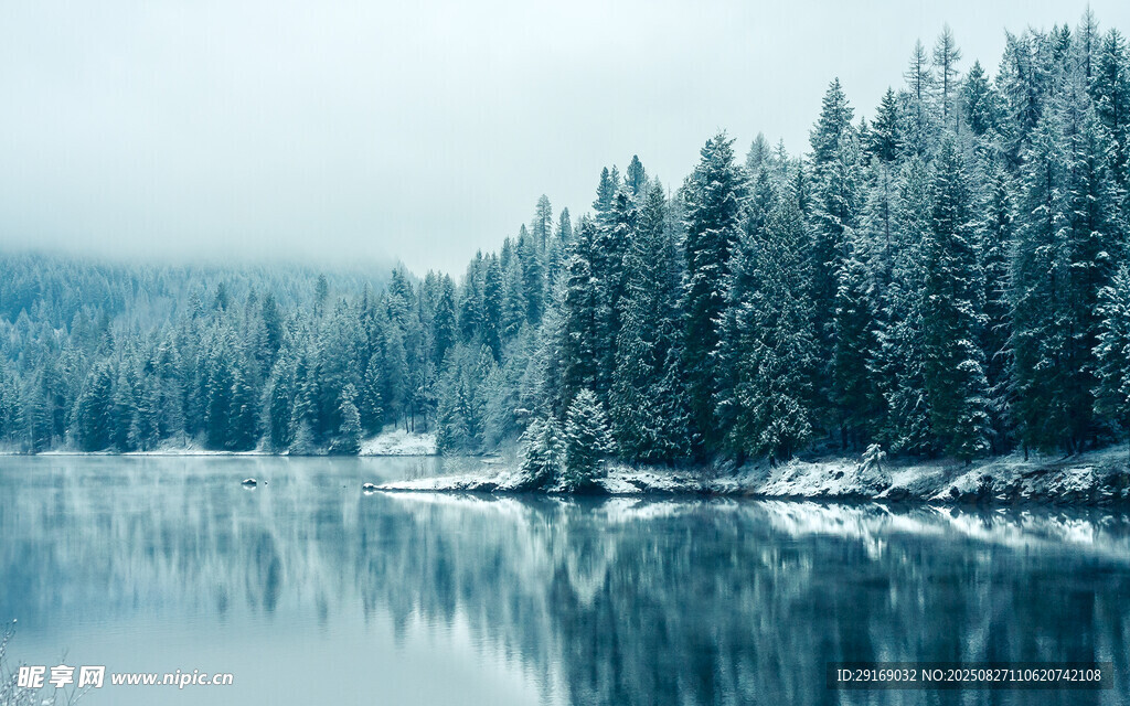 冬日静谧湖景 雪覆松林
