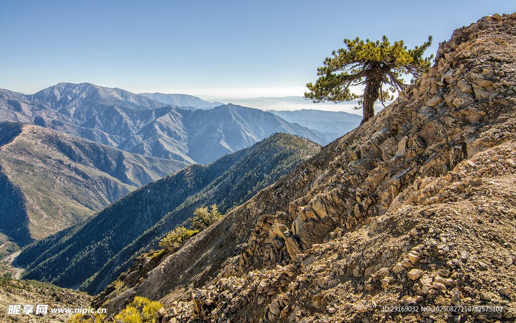 山巅孤树 览壮丽山川景色
