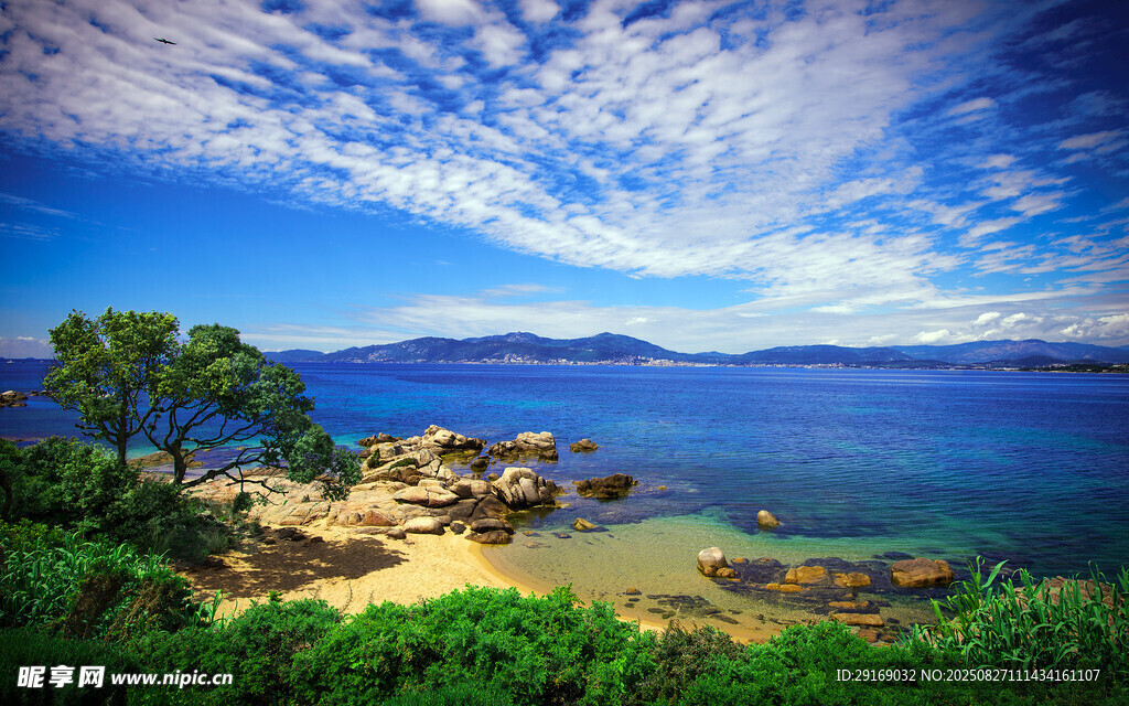 海边美景 绿树蓝天映碧波