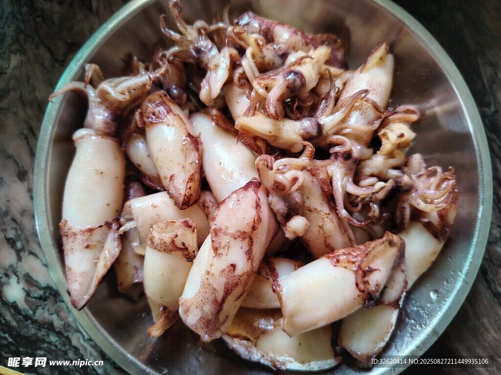 小鱿鱼