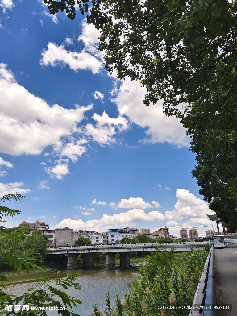 河畔风景