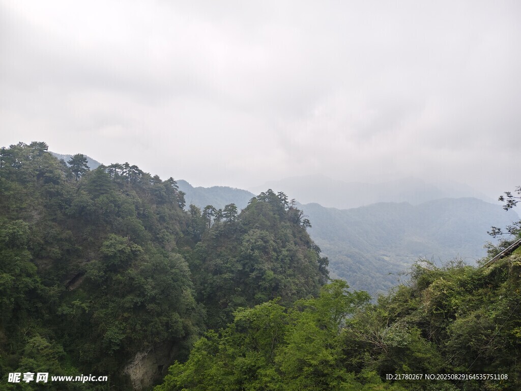 云雾缭绕的山林美景