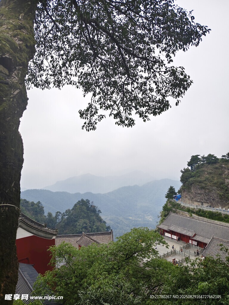 山间景致 树影