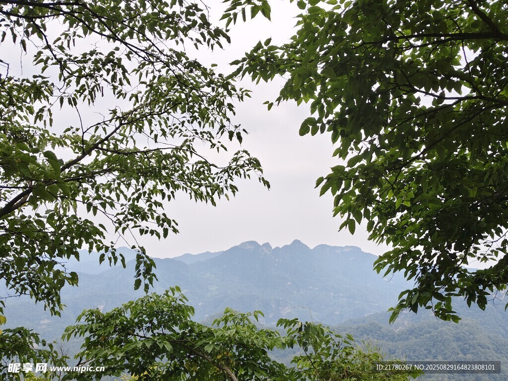 绿树远山