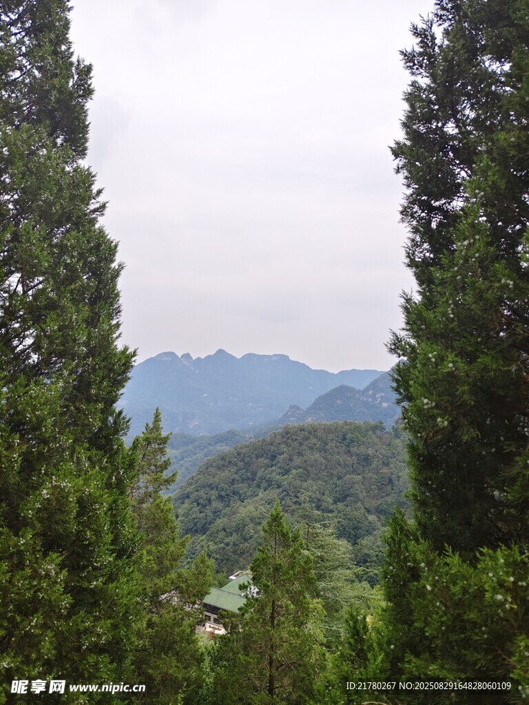山林间的 树木与远山