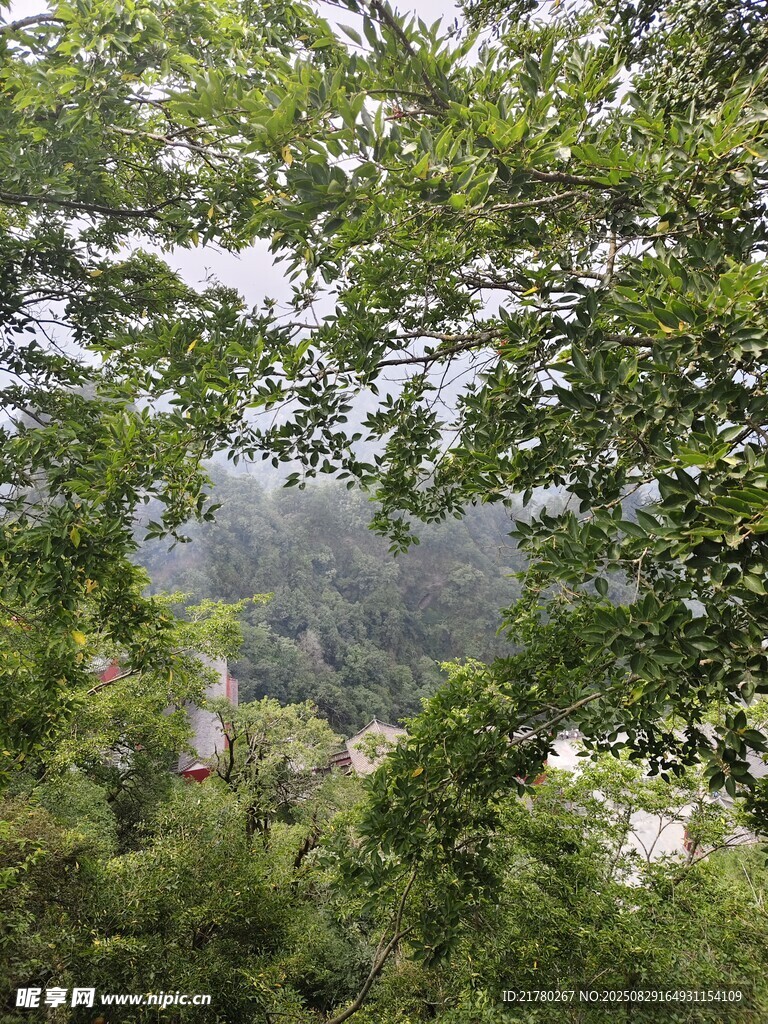 山林景观