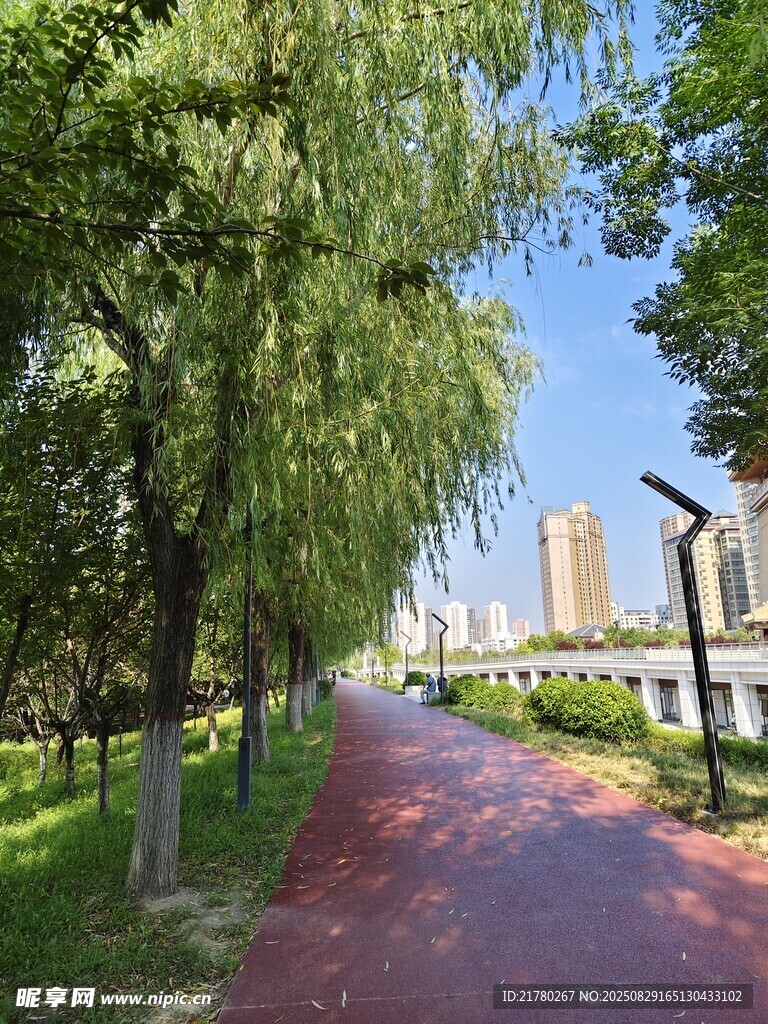 城市林荫步道