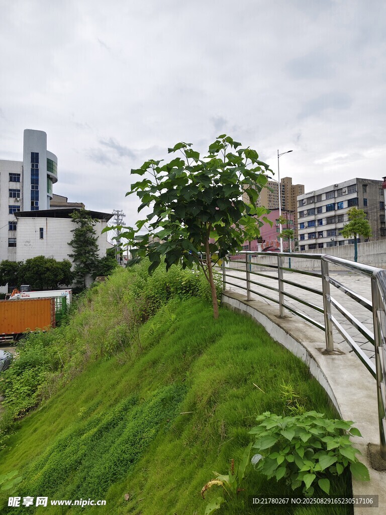 城市绿化斜坡景观