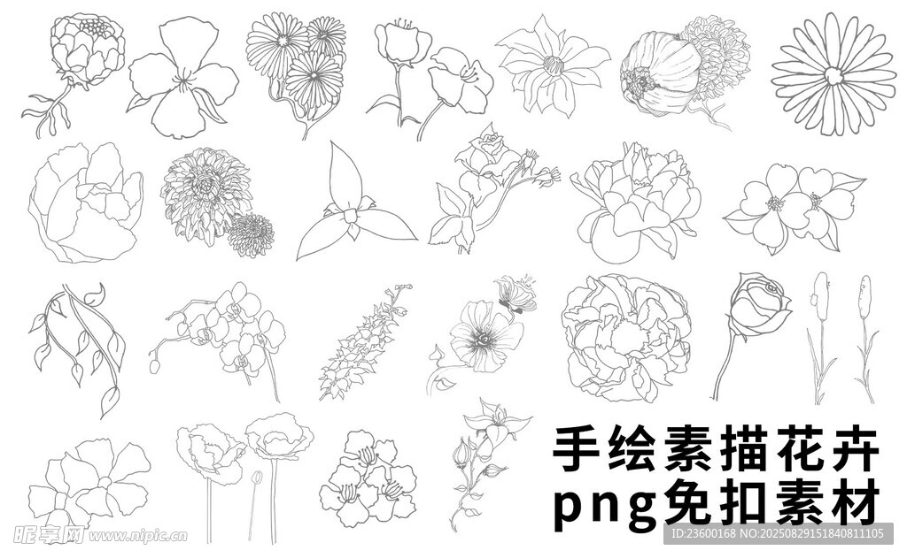 手绘素描花卉免扣素材