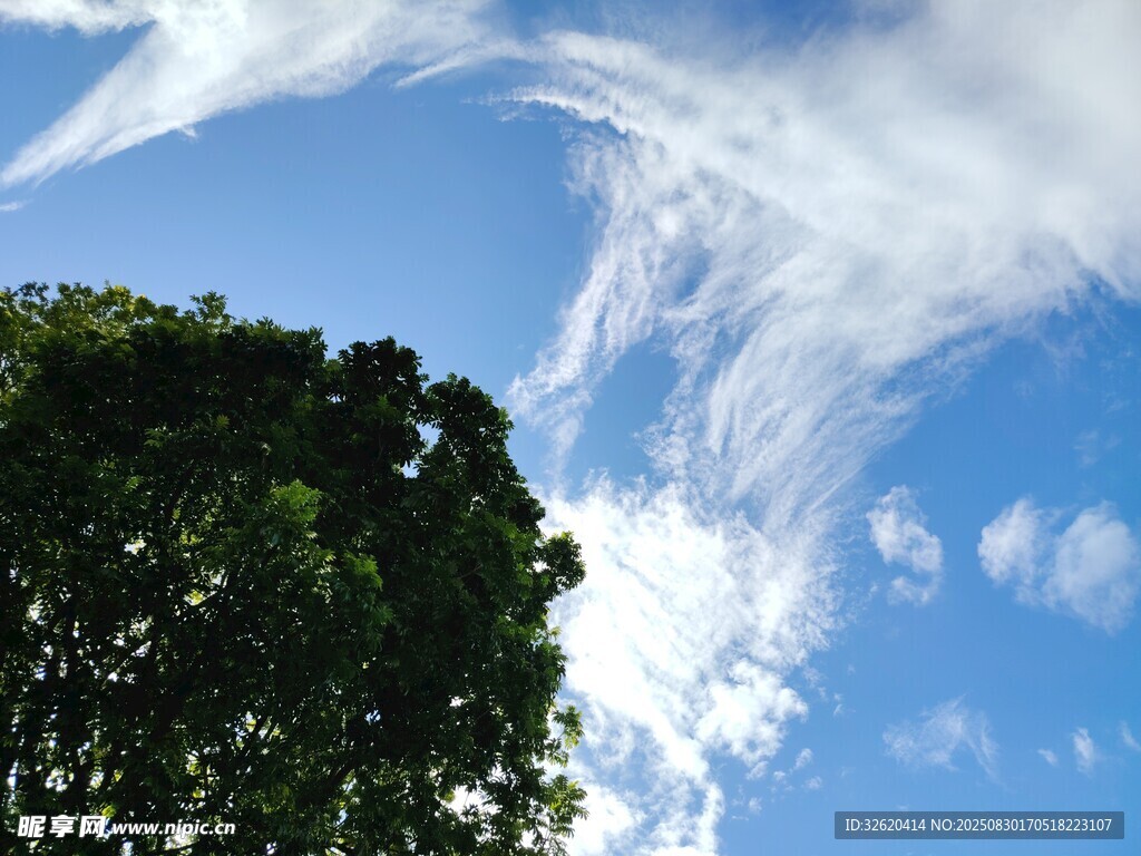 蓝天绿树间的白云美景