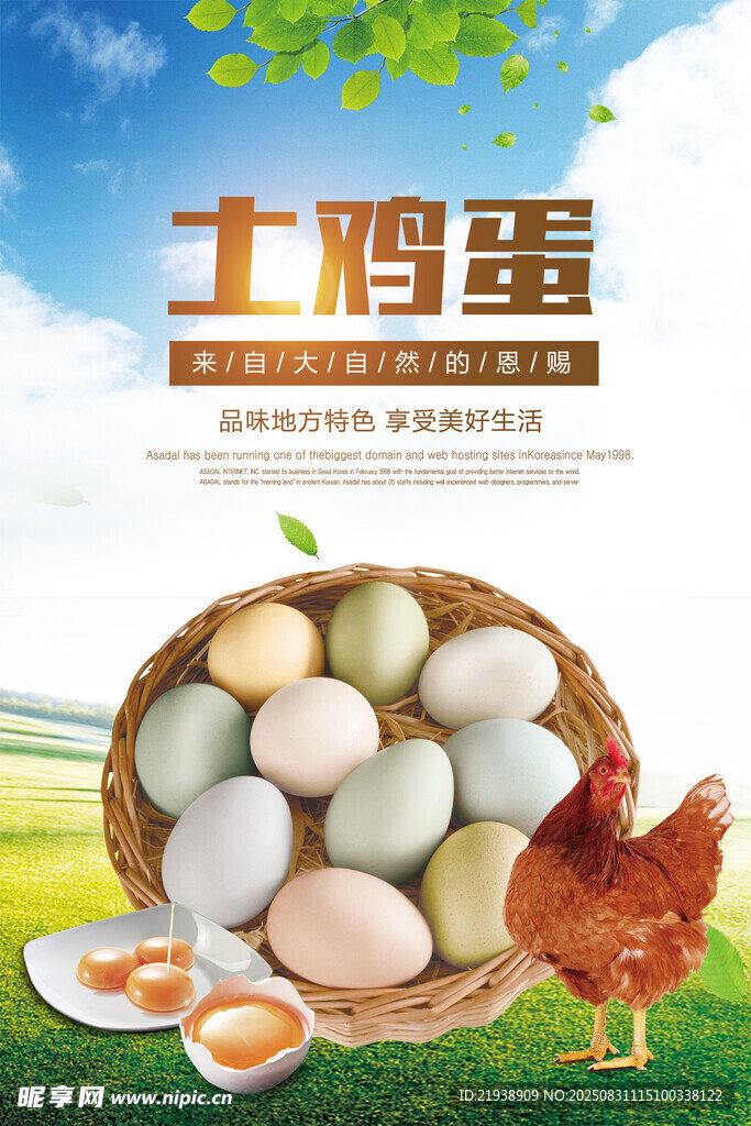 鸡蛋海报