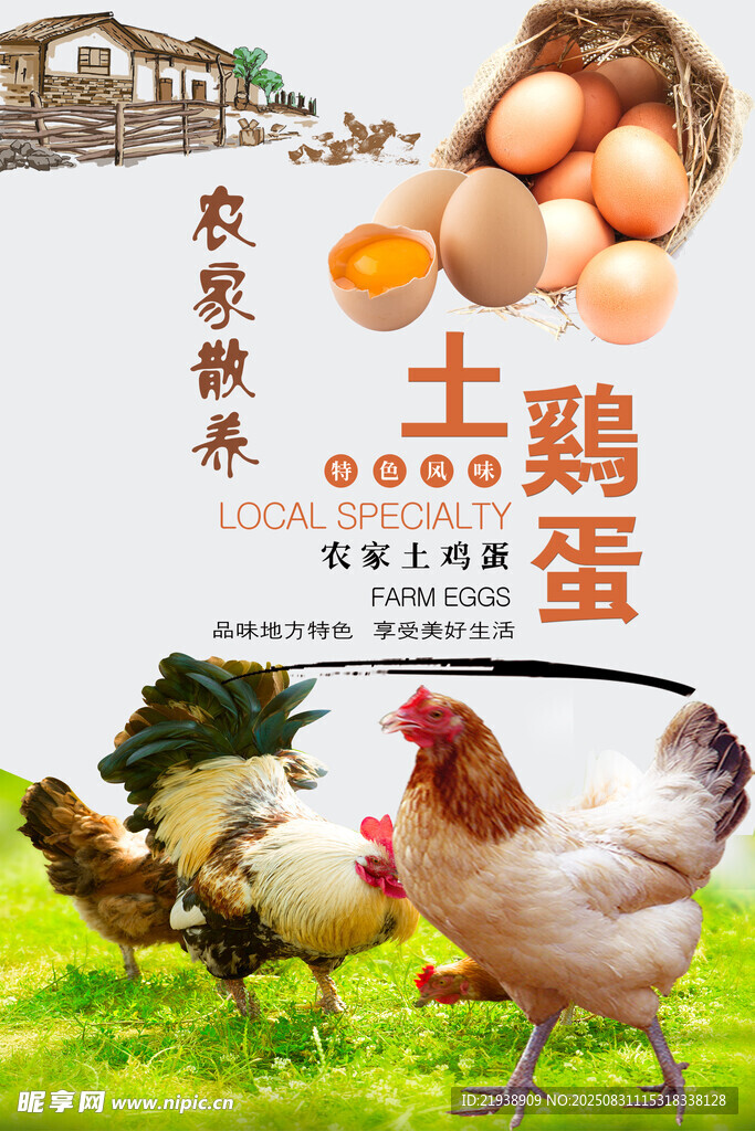 鸡蛋海报
