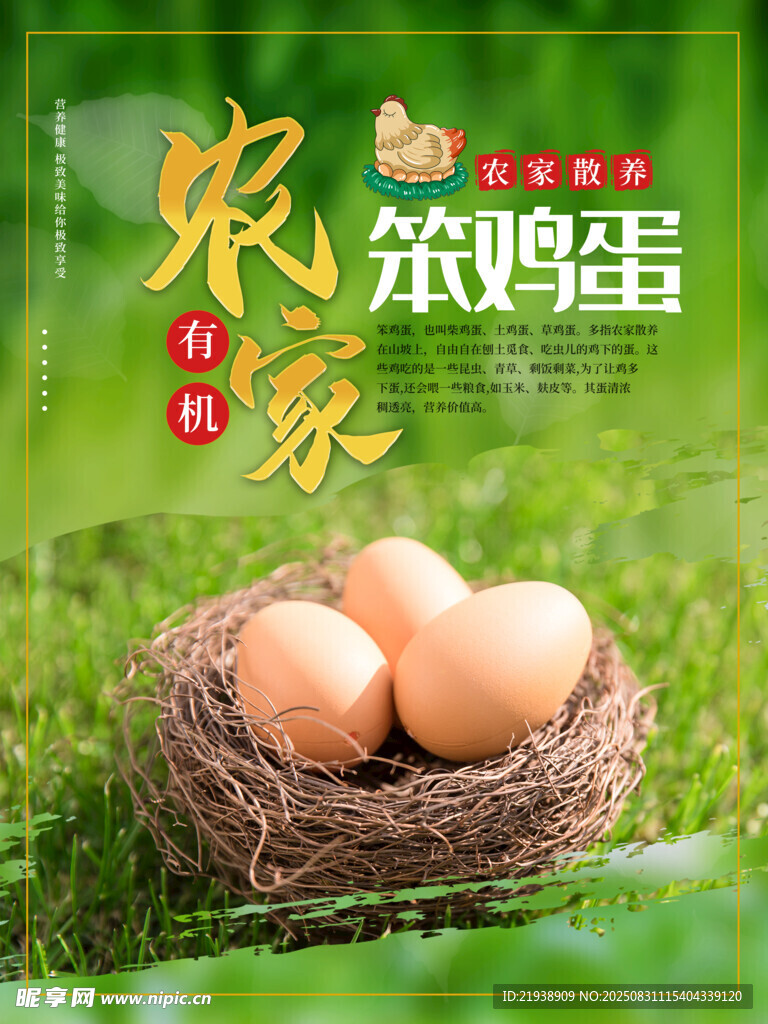 鸡蛋海报