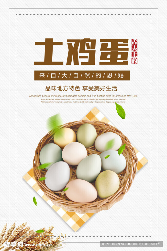 鸡蛋海报