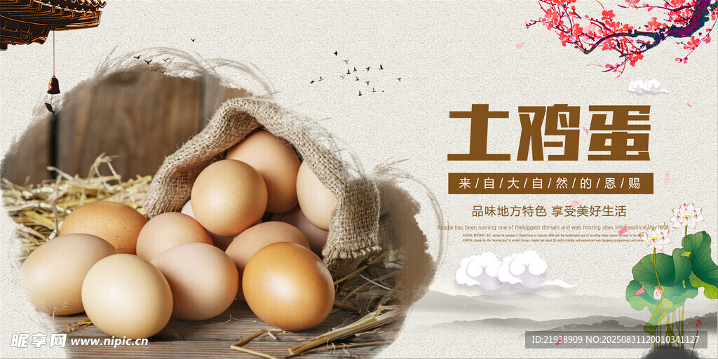 鸡蛋海报