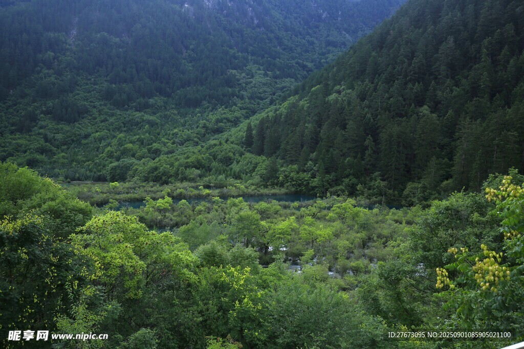 山间葱郁绿野美景