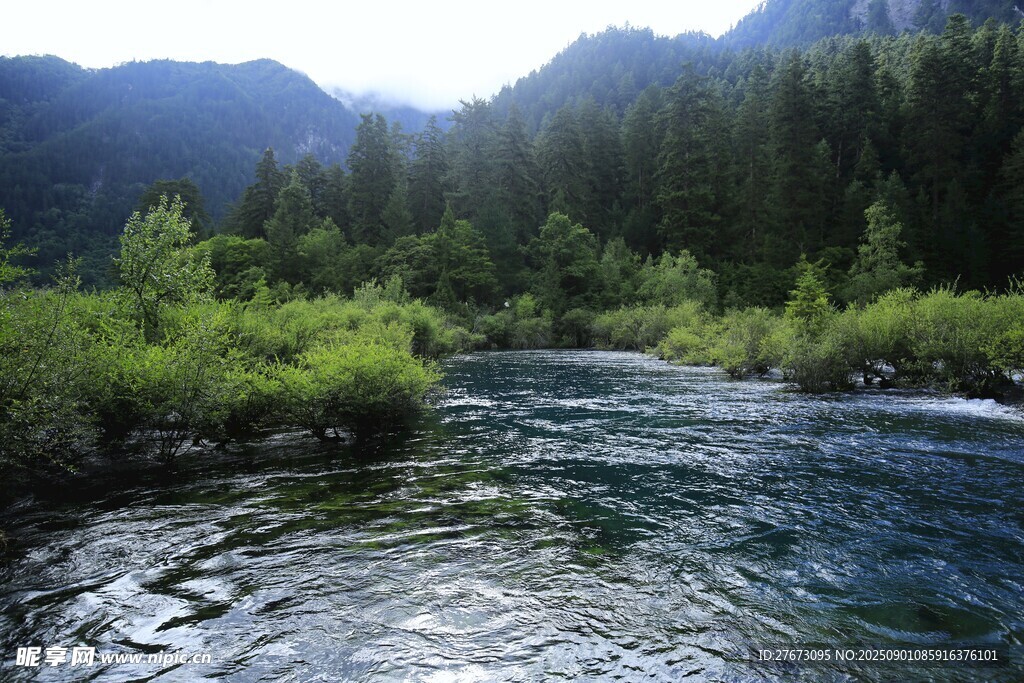 山间溪流 绿意盎然的景致