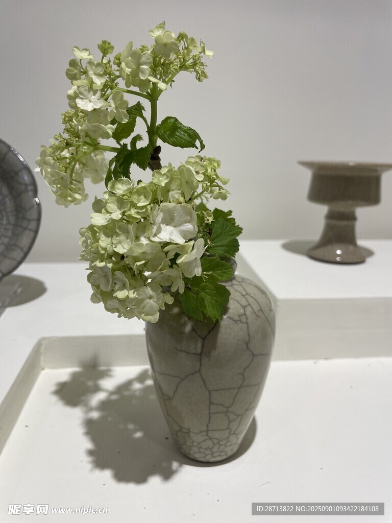 素雅花瓶中的白色花卉