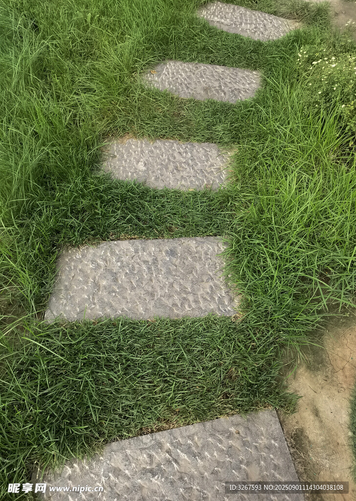 石板小径穿行于翠绿草地