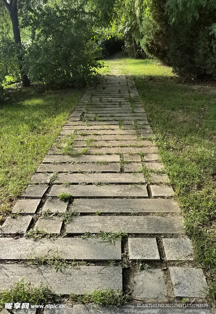 林间石板小径