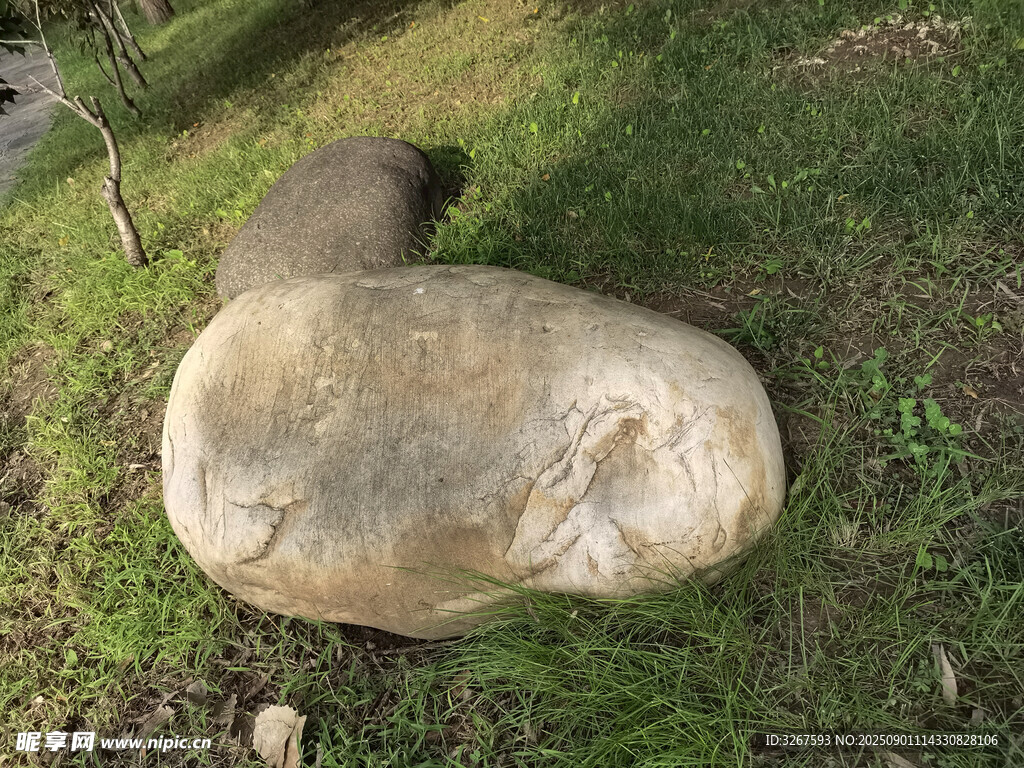 草地上的独特石头