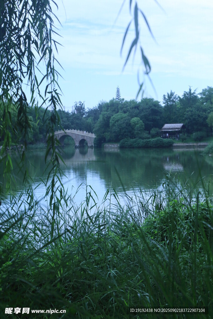 公园风景  