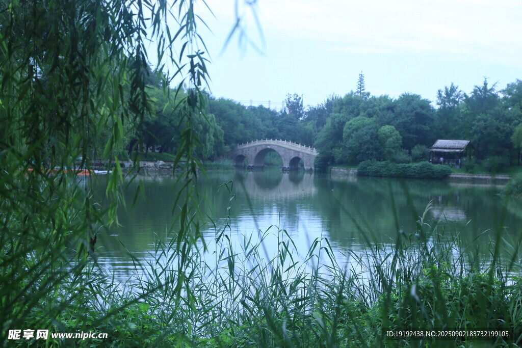 公园风景  
