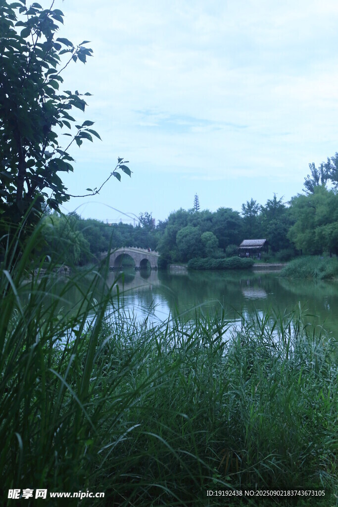 公园风景 
