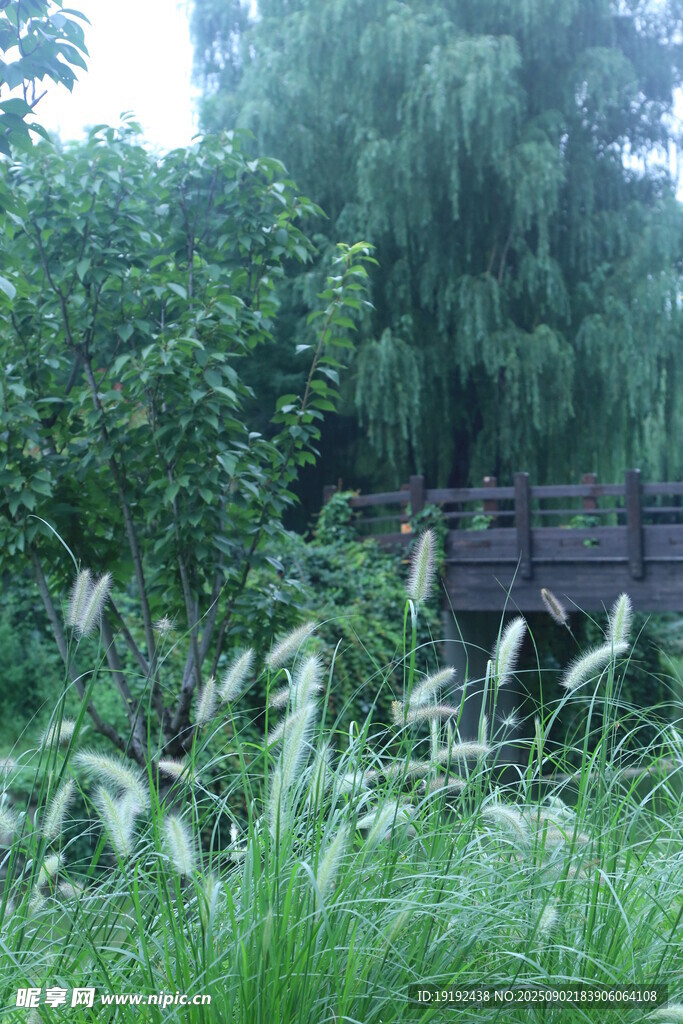 公园风景  