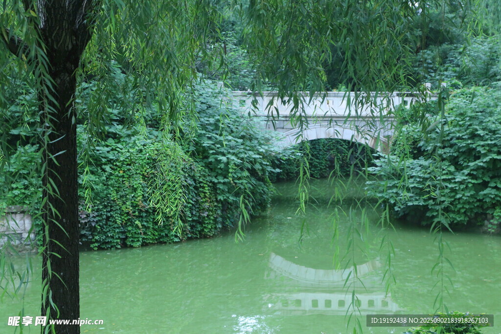 公园风景 