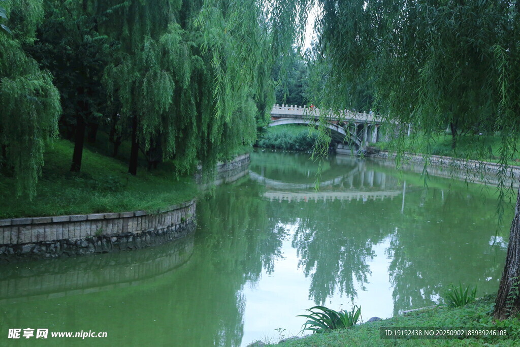 公园风景  