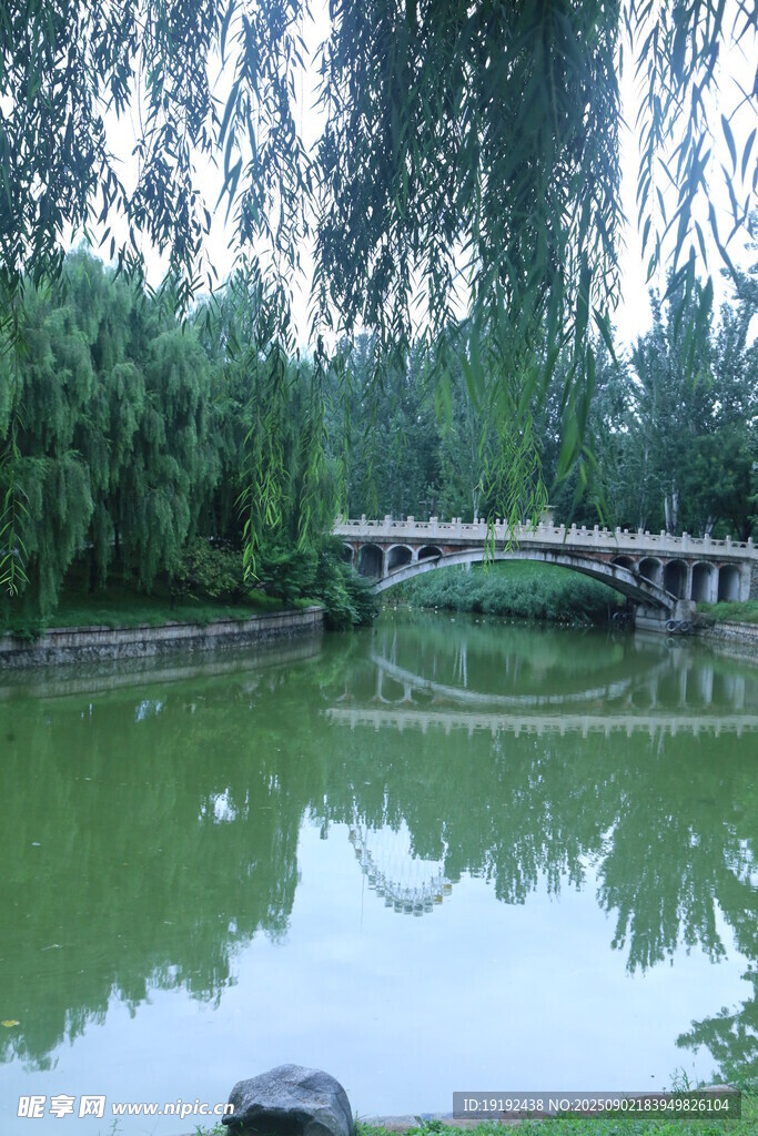 公园风景  