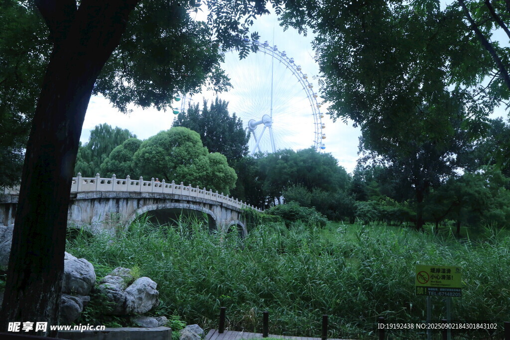 公园风景 