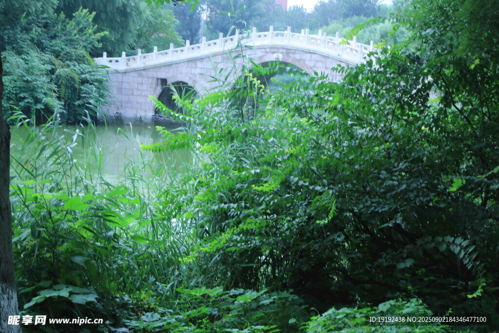 公园风景  