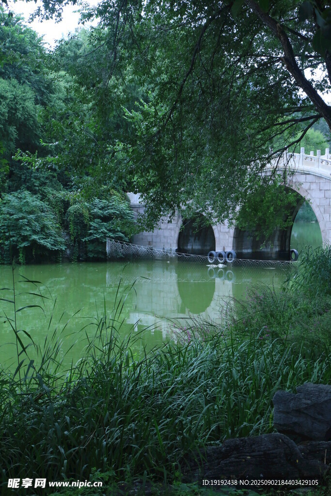 公园风景  