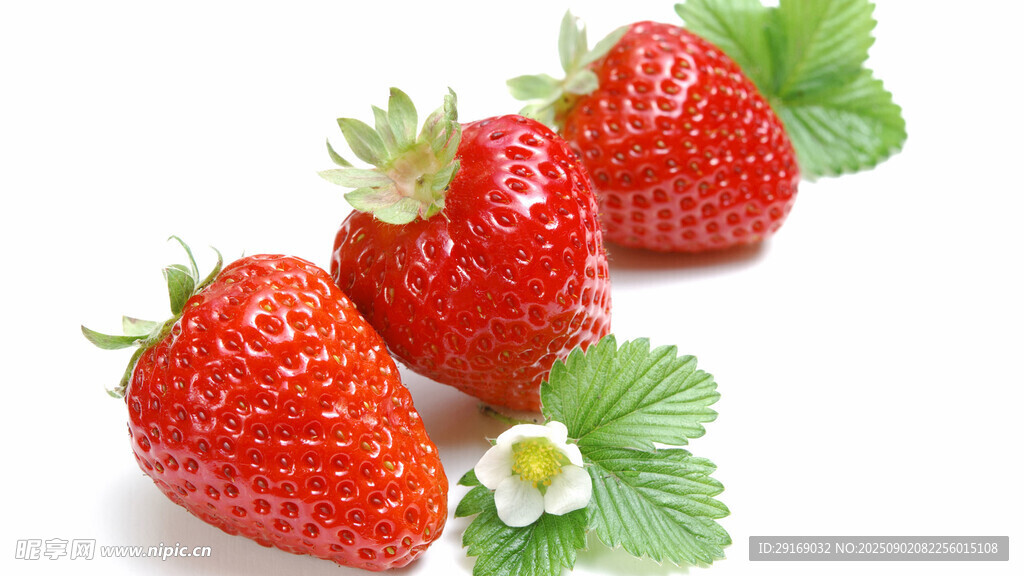 新鲜草莓配绿叶小白花