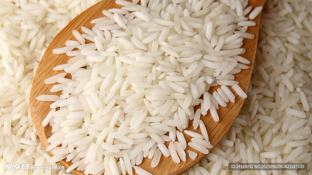 木勺上的优质白米