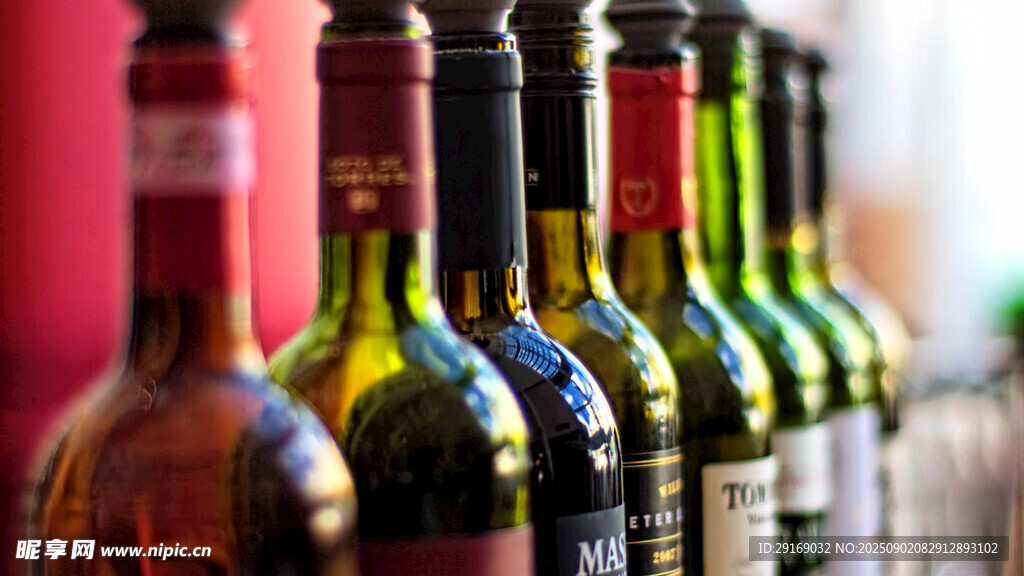 一排多彩葡萄酒瓶展示