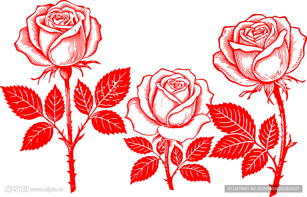 三朵红玫瑰花卉图案