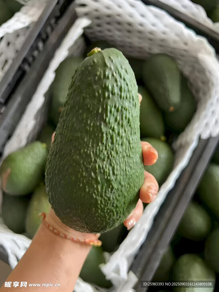 牛油果