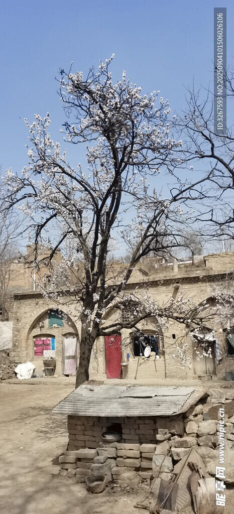 乡村老旧庭院场景