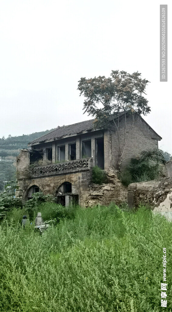 荒废老屋隐于葱郁草地