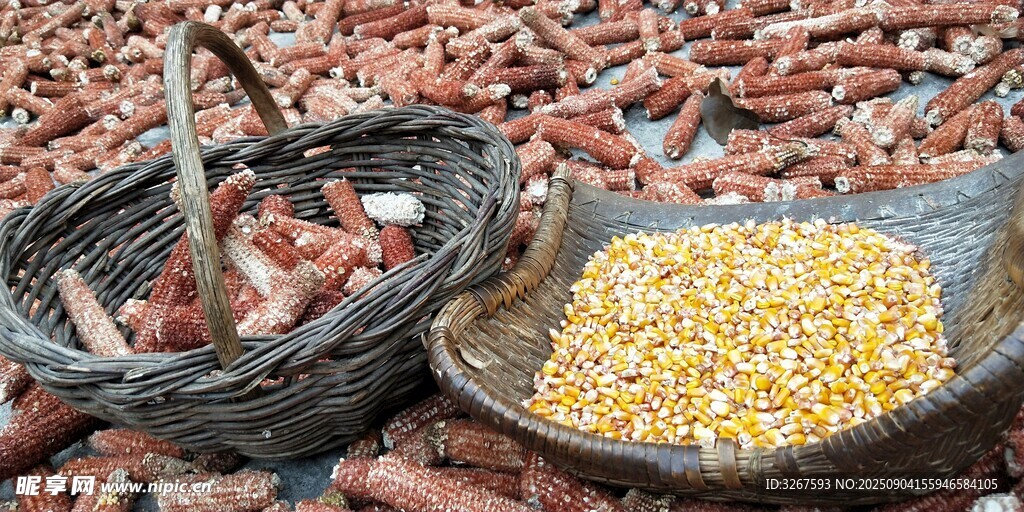 农家用具与谷物的质朴场景