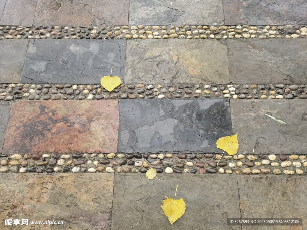 石板路上的黄色心形落叶