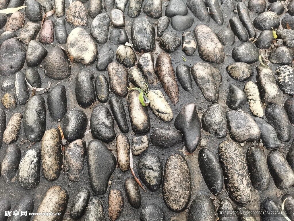 鹅卵石地面纹理特写